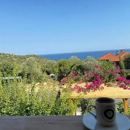 Anatolia Tas Ev Kekova *
