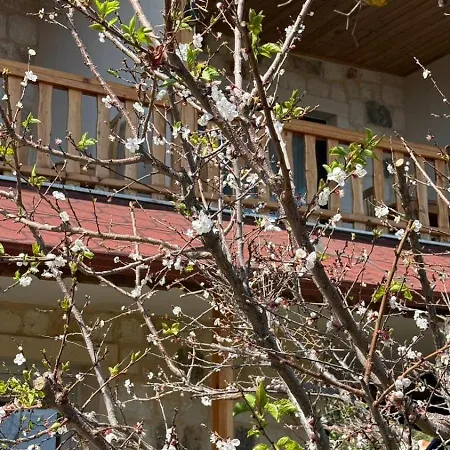 Anatolia Tas Ev Kekova فندق مبيت وإفطار *
